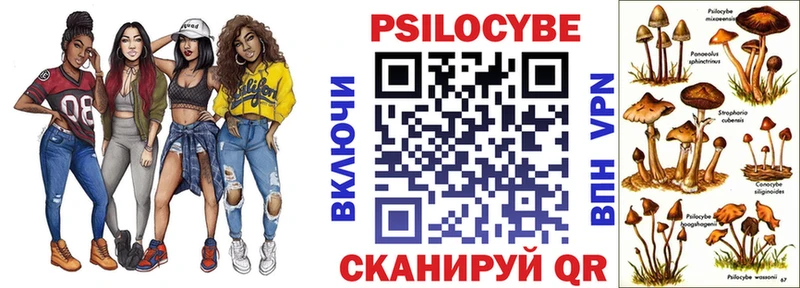 Псилоцибиновые грибы Psilocybine cubensis Невельск